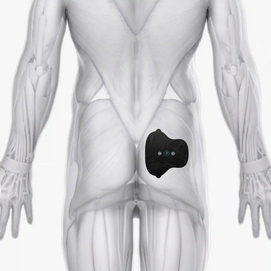 Halo Glute Pad Set 3-Pack