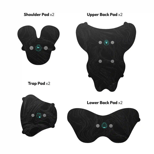 Halo Upper Body Bundle