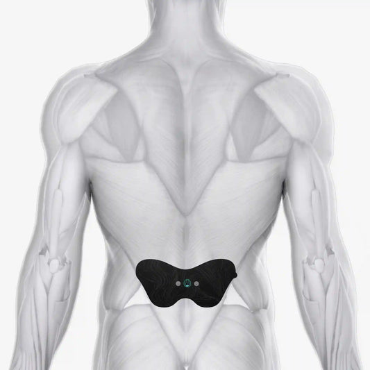 Halo Lower Back Pad Set 6-Pack