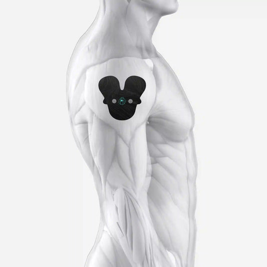 Halo Shoulder Pad Set 6-Pack