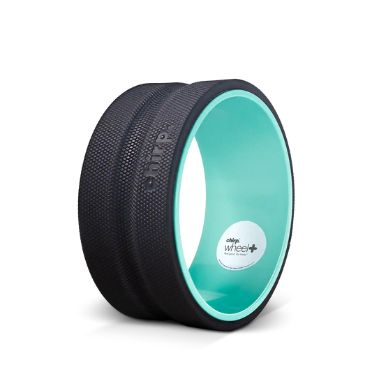 Open Box Chirp Wheel+ 10" Deep Stretch